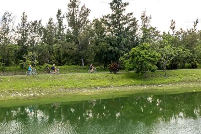 타이둥 삼림공원