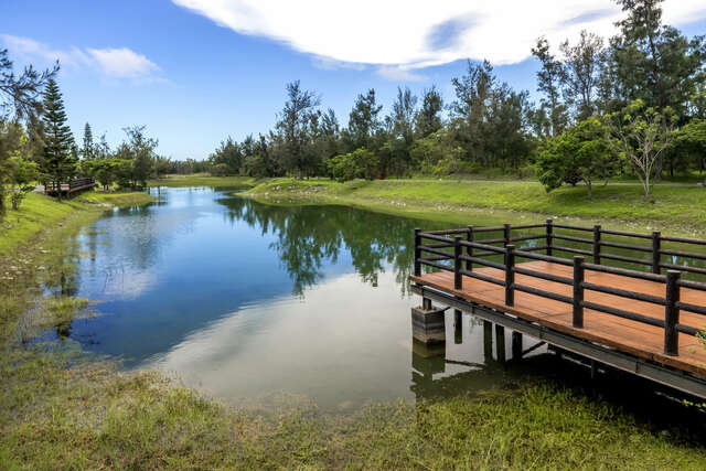 타이둥 삼림공원