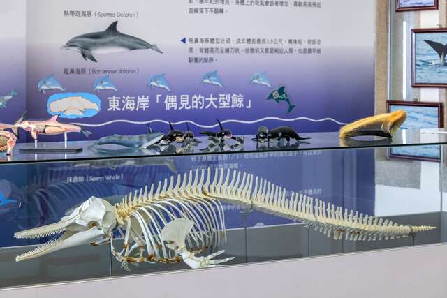 Marine Environmental Classroom