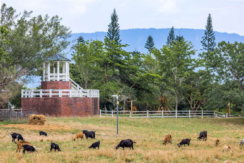 타이완제당 목장 휴가촌
