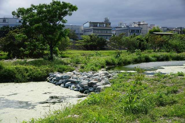 太平溪人工湿地有一处石头堆起来的小堤防