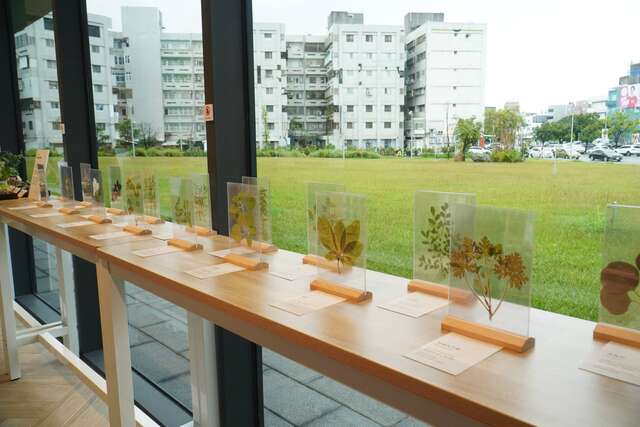植物押花展示_图片来源台东县政府县政新闻