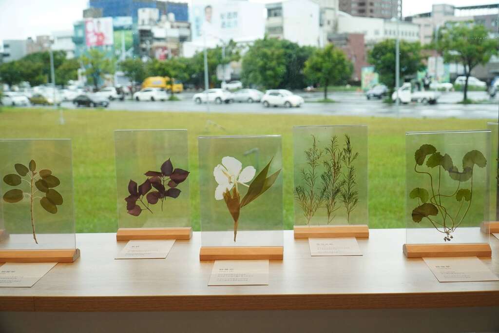 植物押花展示特写_图片来源台东县政府县政新闻
