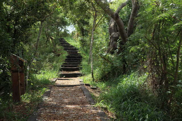 鲤鱼山公园